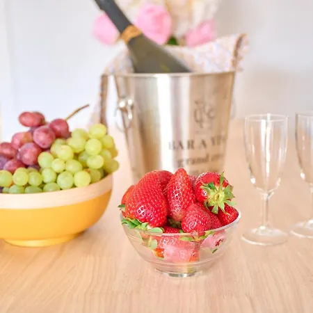 公寓 Grand Centre 戛纳